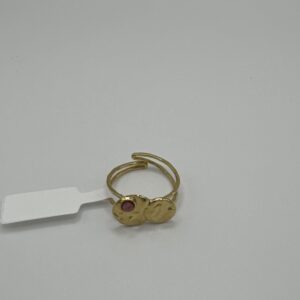 Anillo MINIMAL EXPRESIÓN ORO